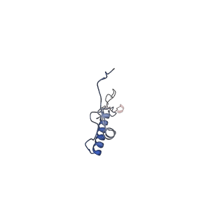 17558_8p94_I_v1-2
Cryo-EM structure of cortactin stabilized Arp2/3-complex nucleated actin branches