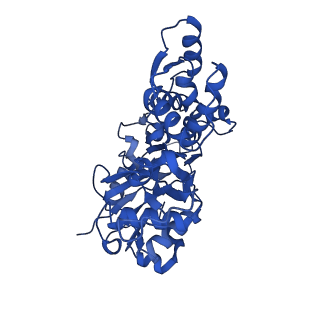 17558_8p94_J_v1-1
Cryo-EM structure of cortactin stabilized Arp2/3-complex nucleated actin branches