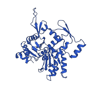 17558_8p94_N_v1-1
Cryo-EM structure of cortactin stabilized Arp2/3-complex nucleated actin branches