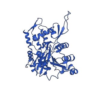 17558_8p94_O_v1-1
Cryo-EM structure of cortactin stabilized Arp2/3-complex nucleated actin branches