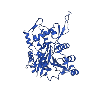 17558_8p94_O_v1-2
Cryo-EM structure of cortactin stabilized Arp2/3-complex nucleated actin branches