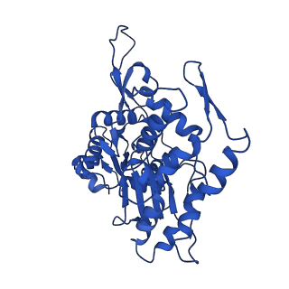 17558_8p94_P_v1-1
Cryo-EM structure of cortactin stabilized Arp2/3-complex nucleated actin branches