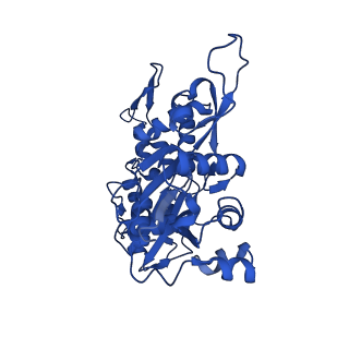 17558_8p94_Q_v1-1
Cryo-EM structure of cortactin stabilized Arp2/3-complex nucleated actin branches