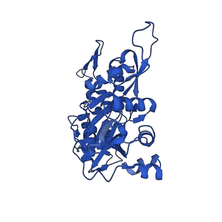 17558_8p94_Q_v1-2
Cryo-EM structure of cortactin stabilized Arp2/3-complex nucleated actin branches