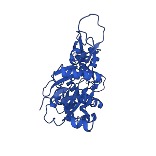 17558_8p94_S_v1-1
Cryo-EM structure of cortactin stabilized Arp2/3-complex nucleated actin branches