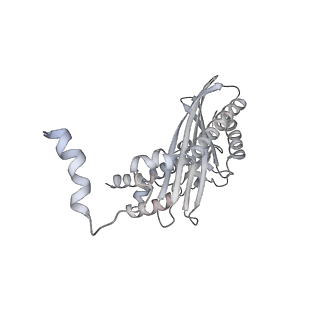 17558_8p94_U_v1-1
Cryo-EM structure of cortactin stabilized Arp2/3-complex nucleated actin branches