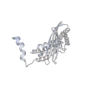 17558_8p94_U_v1-2
Cryo-EM structure of cortactin stabilized Arp2/3-complex nucleated actin branches