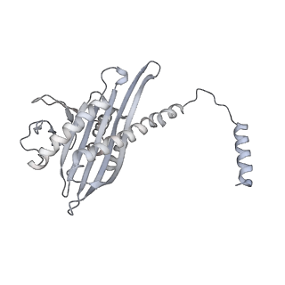 17558_8p94_V_v1-1
Cryo-EM structure of cortactin stabilized Arp2/3-complex nucleated actin branches