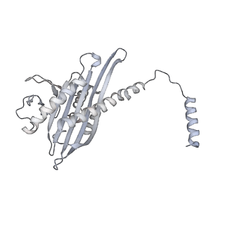 17558_8p94_V_v1-2
Cryo-EM structure of cortactin stabilized Arp2/3-complex nucleated actin branches