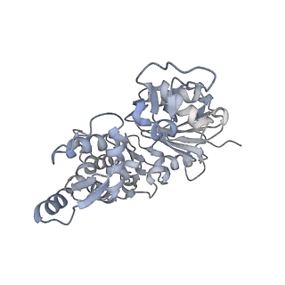 17558_8p94_W_v1-1
Cryo-EM structure of cortactin stabilized Arp2/3-complex nucleated actin branches