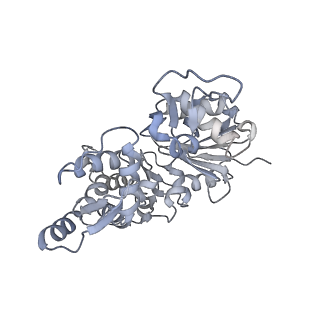 17558_8p94_W_v1-2
Cryo-EM structure of cortactin stabilized Arp2/3-complex nucleated actin branches