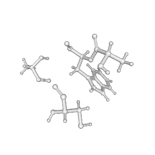 17558_8p94_a_v1-2
Cryo-EM structure of cortactin stabilized Arp2/3-complex nucleated actin branches