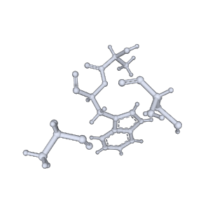 17558_8p94_h_v1-2
Cryo-EM structure of cortactin stabilized Arp2/3-complex nucleated actin branches