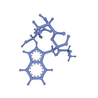 17558_8p94_i_v1-2
Cryo-EM structure of cortactin stabilized Arp2/3-complex nucleated actin branches