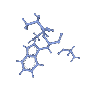 17558_8p94_k_v1-2
Cryo-EM structure of cortactin stabilized Arp2/3-complex nucleated actin branches