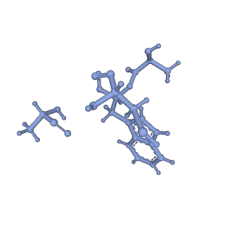 17558_8p94_l_v1-1
Cryo-EM structure of cortactin stabilized Arp2/3-complex nucleated actin branches