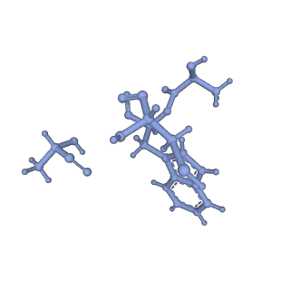 17558_8p94_l_v1-2
Cryo-EM structure of cortactin stabilized Arp2/3-complex nucleated actin branches