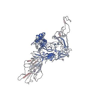 17576_8p99_A_v1-0
SARS-CoV-2 S-protein:D614G mutant in 1-up conformation