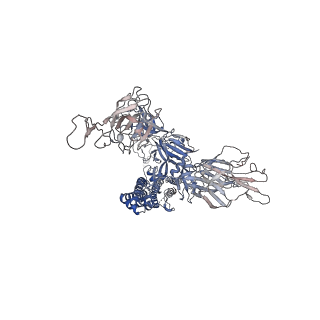 17576_8p99_B_v1-0
SARS-CoV-2 S-protein:D614G mutant in 1-up conformation