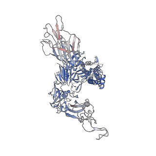 17576_8p99_C_v1-0
SARS-CoV-2 S-protein:D614G mutant in 1-up conformation