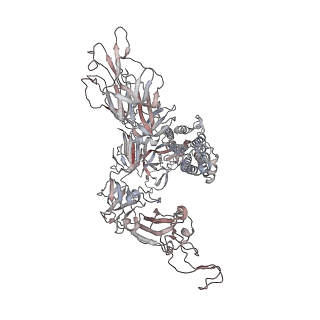 17578_8p9y_C_v1-0
SARS-CoV-2 S protein S:D614G mutant in 3-down with binding site of an entry inhibitor