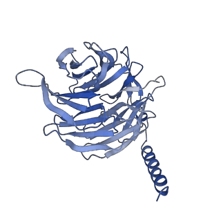 20277_6p9x_B_v1-2
CRF1 Receptor Gs GPCR protein complex with CRF1 peptide