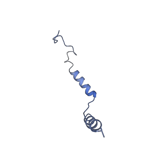 20277_6p9x_G_v1-2
CRF1 Receptor Gs GPCR protein complex with CRF1 peptide