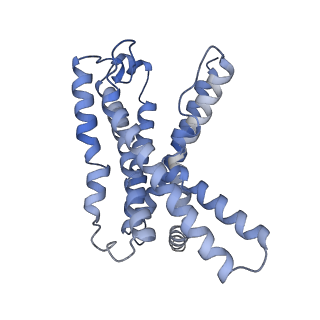 20277_6p9x_R_v1-2
CRF1 Receptor Gs GPCR protein complex with CRF1 peptide