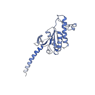 20278_6p9y_A_v1-2
PAC1 GPCR Receptor complex