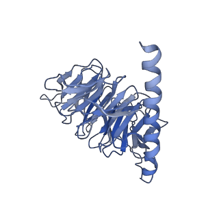 20278_6p9y_B_v1-2
PAC1 GPCR Receptor complex