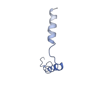 20278_6p9y_G_v1-2
PAC1 GPCR Receptor complex