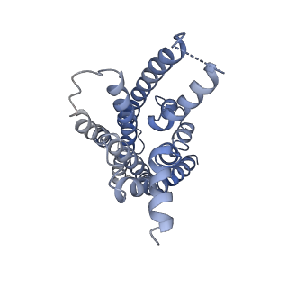 20278_6p9y_R_v1-2
PAC1 GPCR Receptor complex