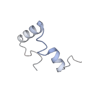 13276_7pal_0_v1-2
70S ribosome with A- and P-site tRNAs in Mycoplasma pneumoniae cells