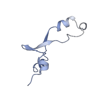 13276_7pal_1_v1-2
70S ribosome with A- and P-site tRNAs in Mycoplasma pneumoniae cells