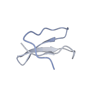 13276_7pal_2_v1-2
70S ribosome with A- and P-site tRNAs in Mycoplasma pneumoniae cells