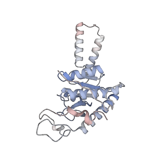 13276_7pal_A_v1-2
70S ribosome with A- and P-site tRNAs in Mycoplasma pneumoniae cells