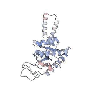 13276_7pal_A_v2-0
70S ribosome with A- and P-site tRNAs in Mycoplasma pneumoniae cells