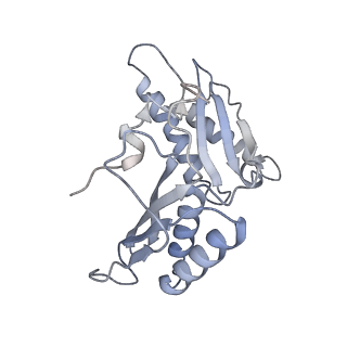 13276_7pal_B_v1-2
70S ribosome with A- and P-site tRNAs in Mycoplasma pneumoniae cells