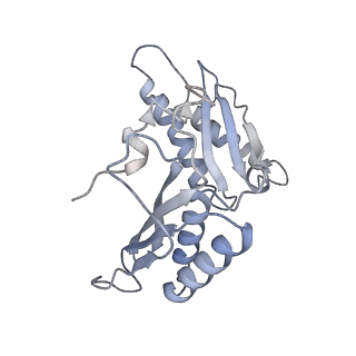 13276_7pal_B_v2-0
70S ribosome with A- and P-site tRNAs in Mycoplasma pneumoniae cells
