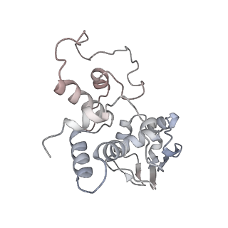 13276_7pal_C_v1-2
70S ribosome with A- and P-site tRNAs in Mycoplasma pneumoniae cells