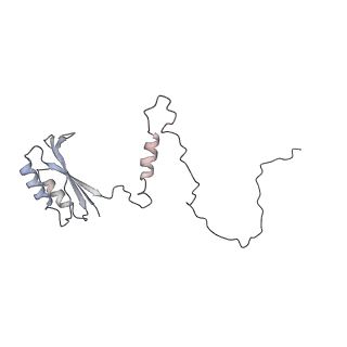 13276_7pal_E_v1-2
70S ribosome with A- and P-site tRNAs in Mycoplasma pneumoniae cells