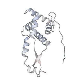 13276_7pal_F_v1-2
70S ribosome with A- and P-site tRNAs in Mycoplasma pneumoniae cells