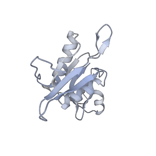 13276_7pal_G_v1-2
70S ribosome with A- and P-site tRNAs in Mycoplasma pneumoniae cells