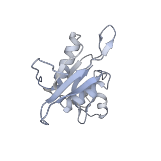 13276_7pal_G_v2-0
70S ribosome with A- and P-site tRNAs in Mycoplasma pneumoniae cells