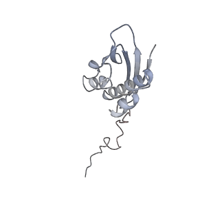 13276_7pal_H_v1-2
70S ribosome with A- and P-site tRNAs in Mycoplasma pneumoniae cells