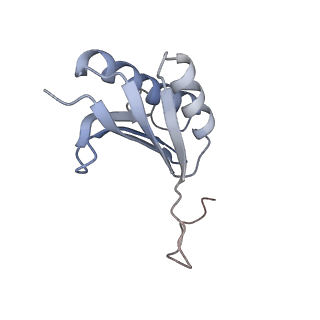 13276_7pal_J_v1-2
70S ribosome with A- and P-site tRNAs in Mycoplasma pneumoniae cells