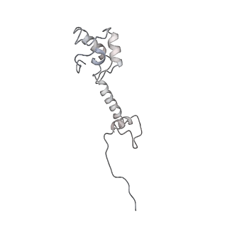 13276_7pal_L_v1-2
70S ribosome with A- and P-site tRNAs in Mycoplasma pneumoniae cells