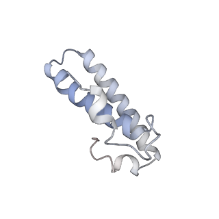 13276_7pal_N_v1-2
70S ribosome with A- and P-site tRNAs in Mycoplasma pneumoniae cells
