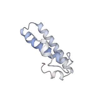 13276_7pal_N_v2-0
70S ribosome with A- and P-site tRNAs in Mycoplasma pneumoniae cells