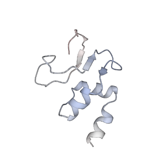 13276_7pal_O_v1-2
70S ribosome with A- and P-site tRNAs in Mycoplasma pneumoniae cells